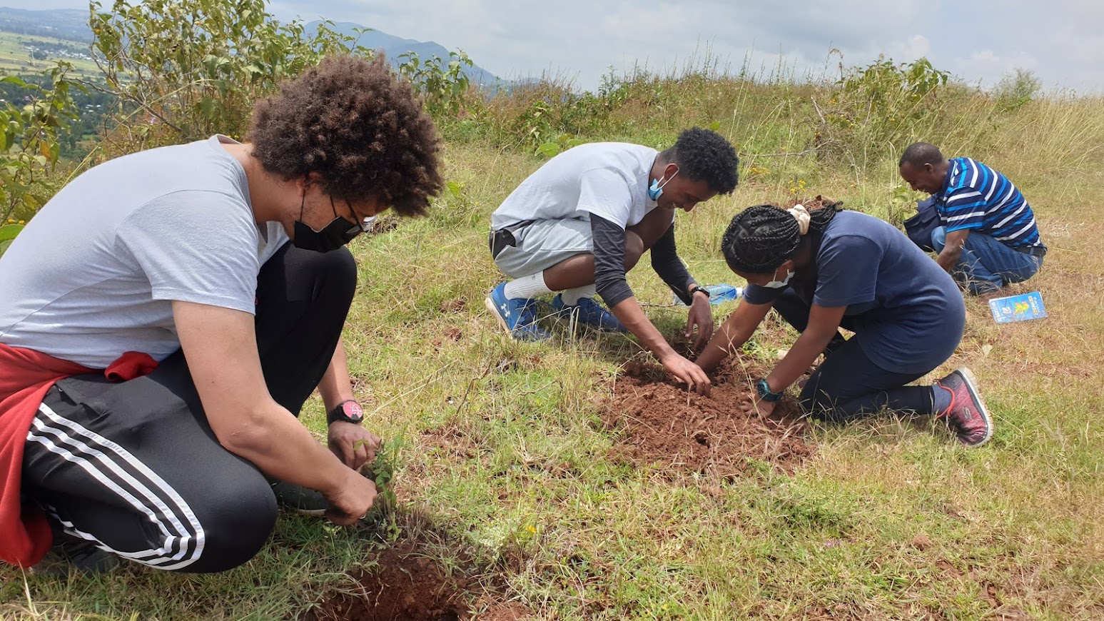 Youth planting saplings.