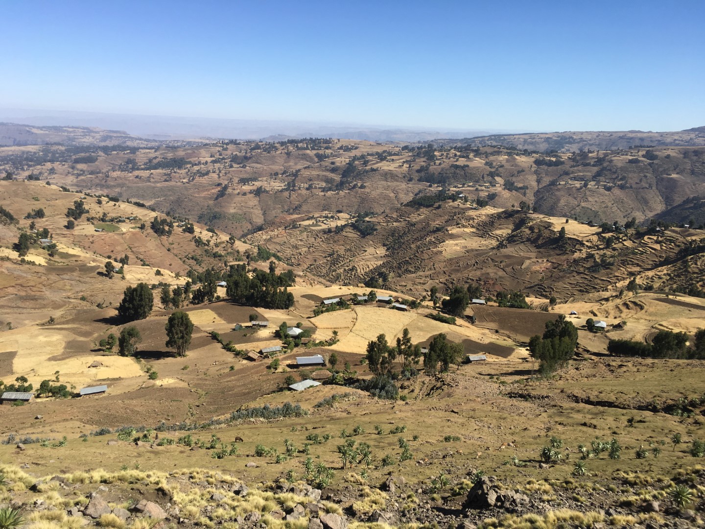 Highland Ethiopia: Degraded mountainous land