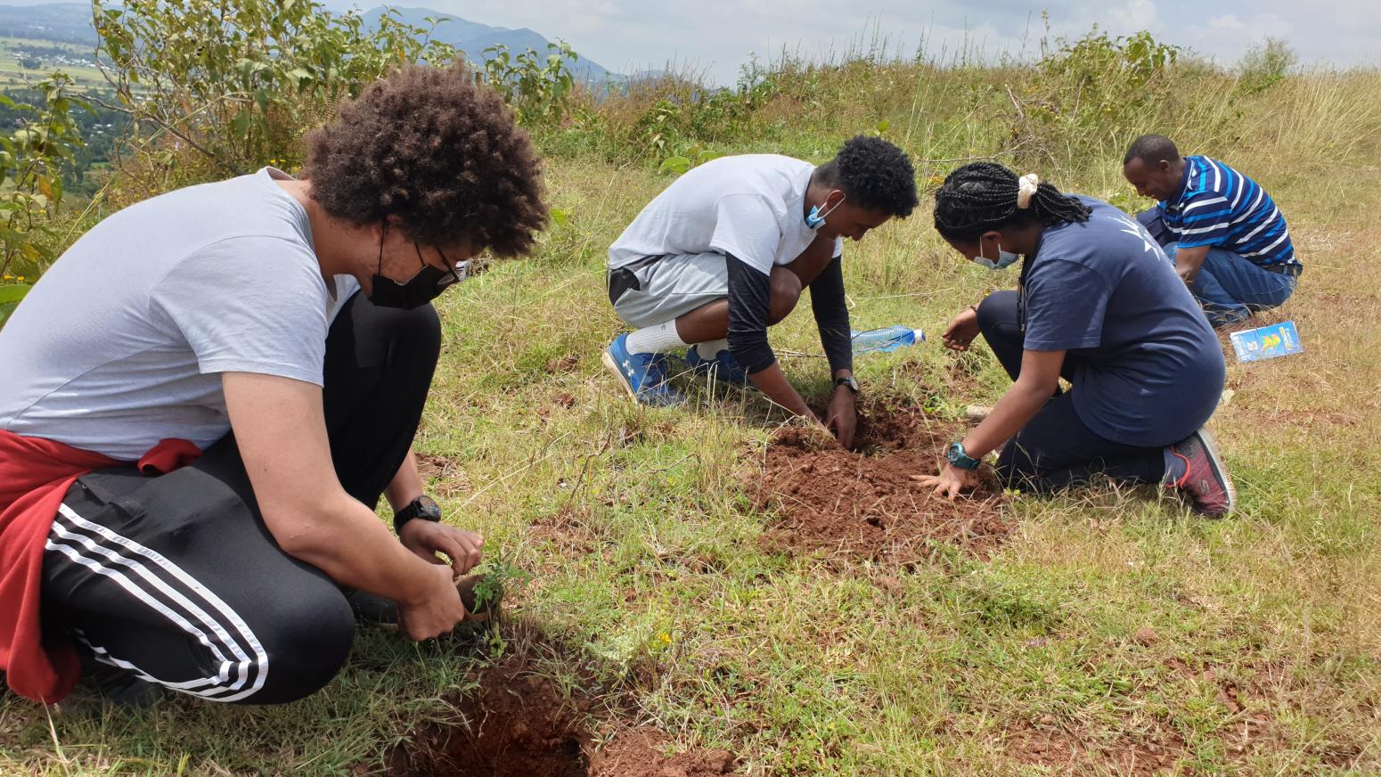 Young people planting seedlings.