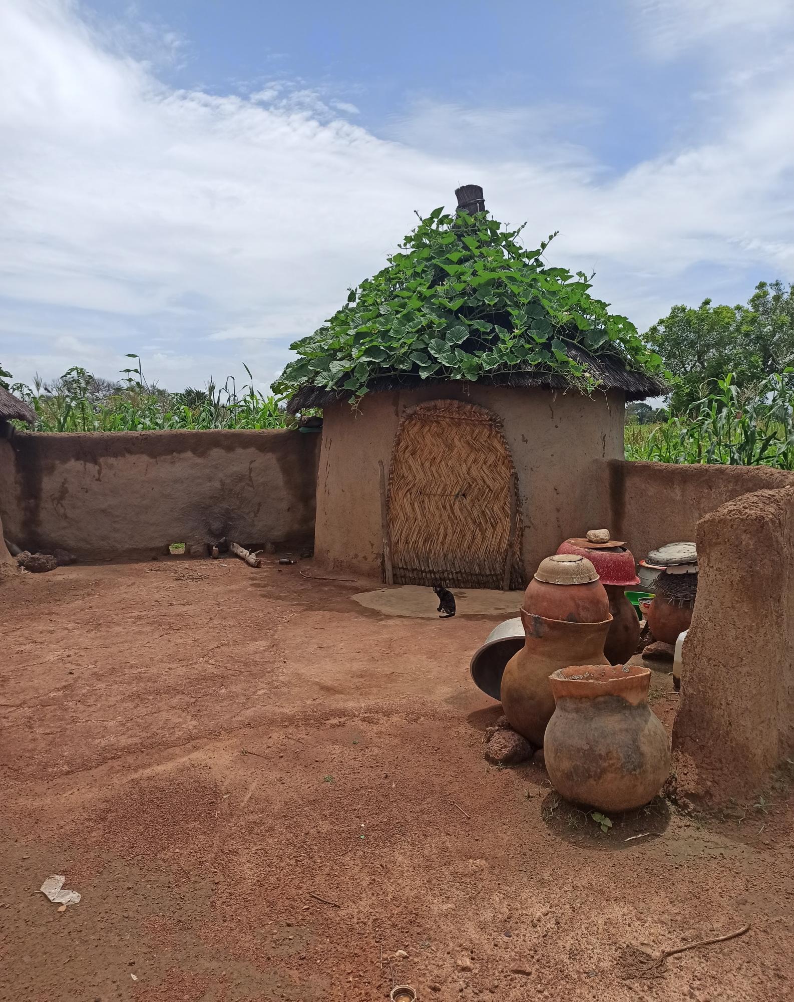 Traditional banco hut in Burkina Faso