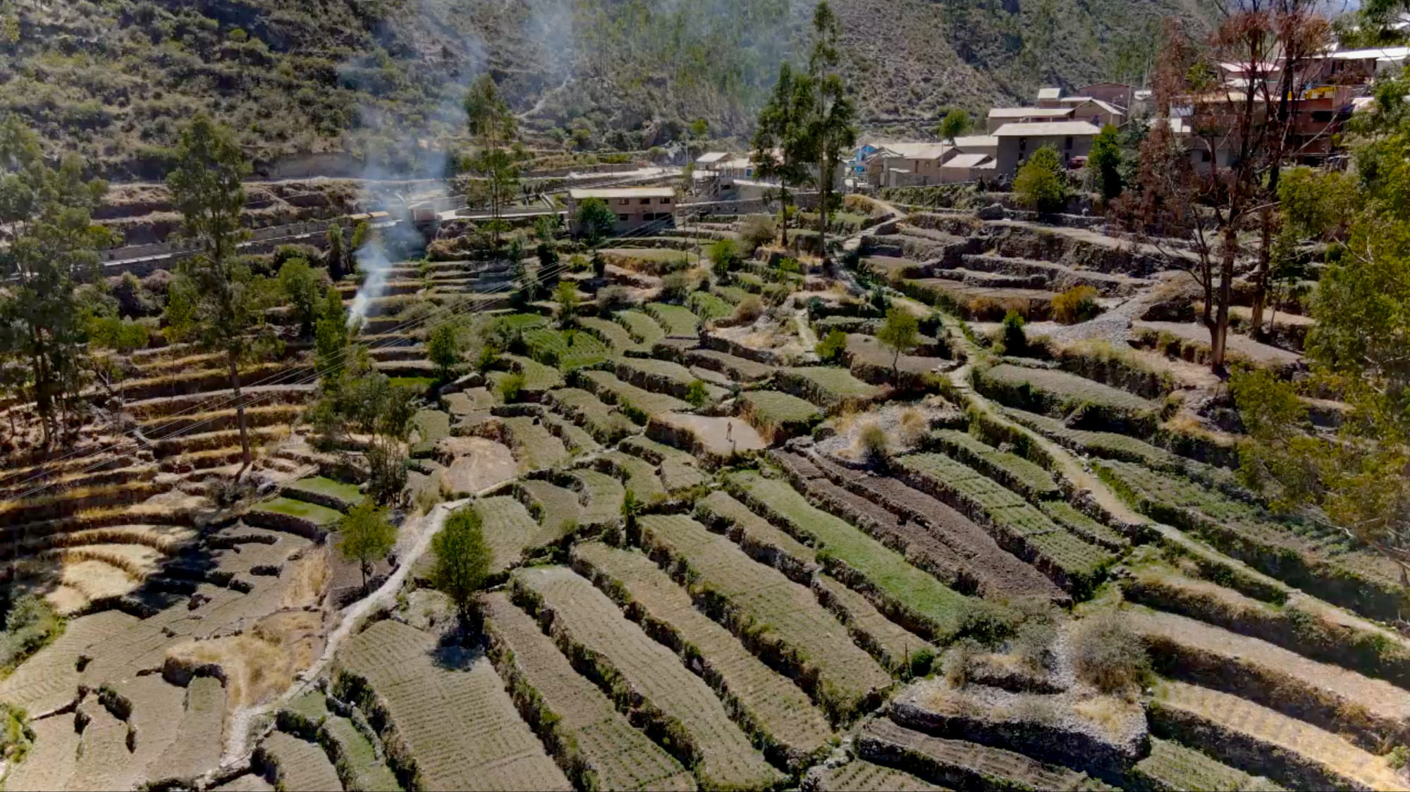 Terraces in the peruvian Andes.