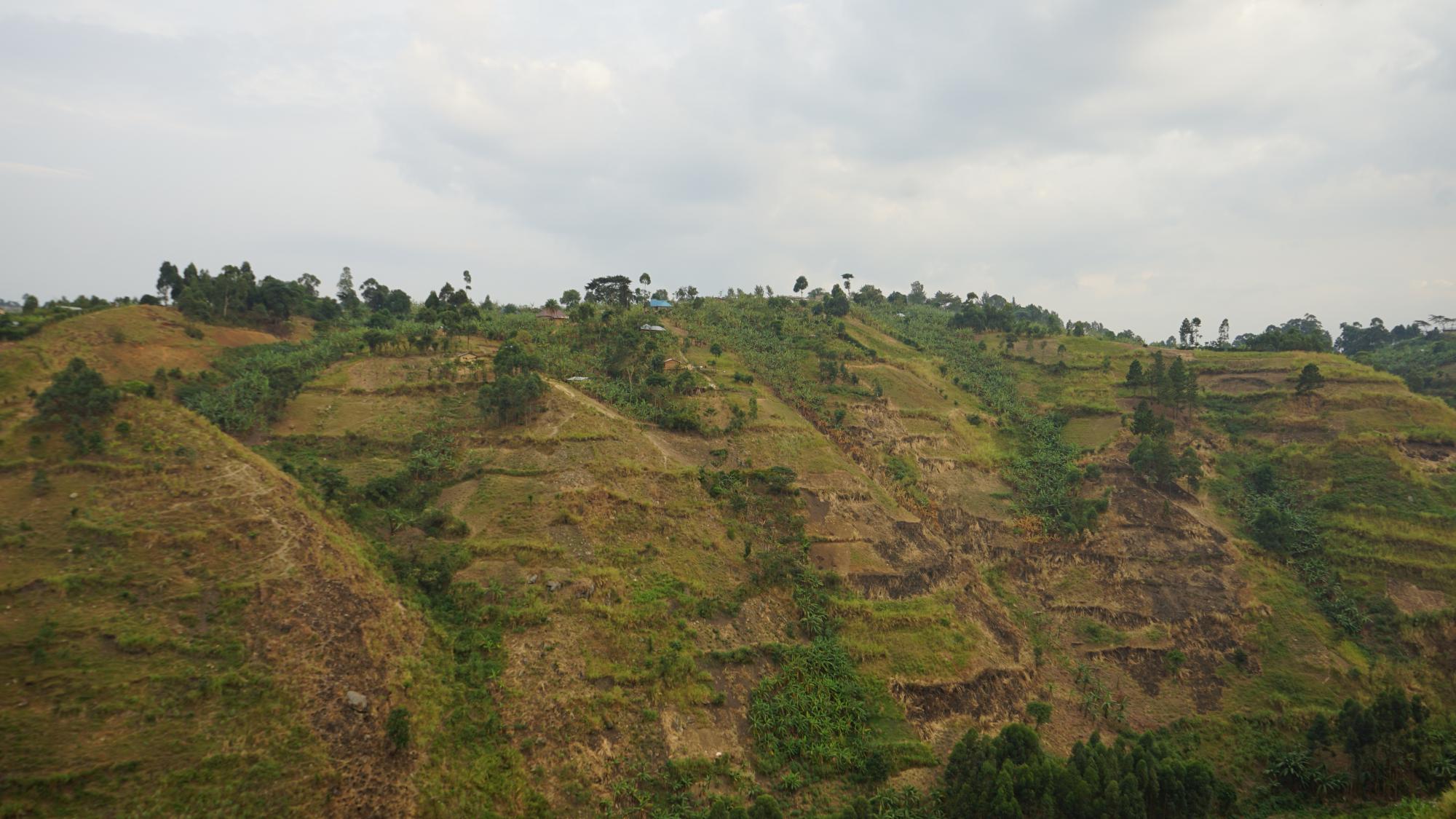 Photo 3: The farmers’ fields in steep area and erosion problems in the Ruwenzori region, Uganda March 2022.