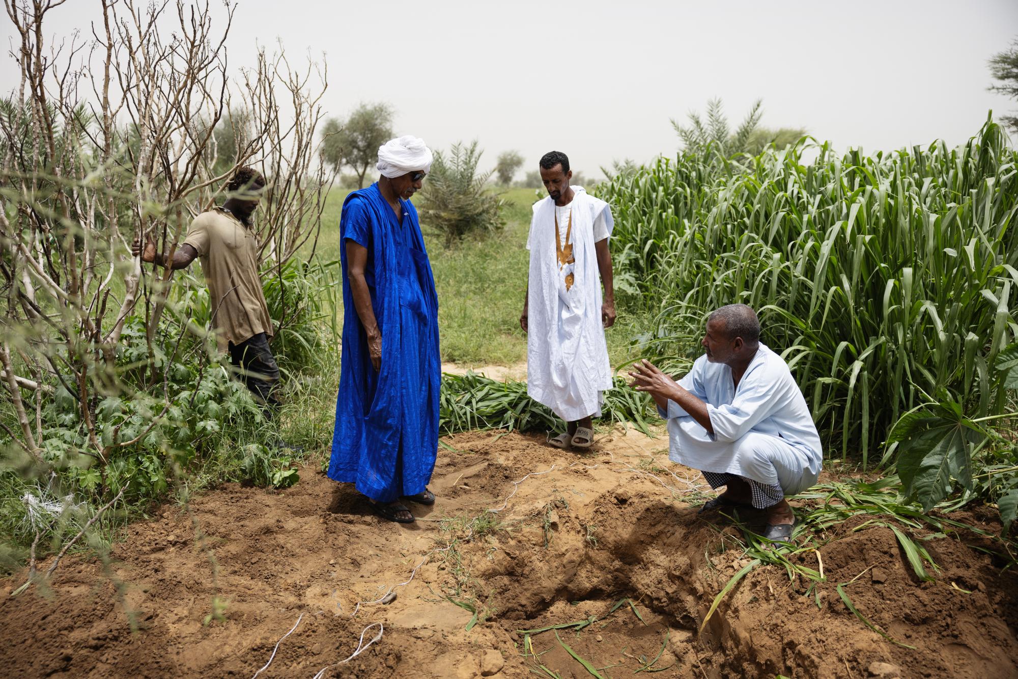 Photo Story AD CT Photo 4