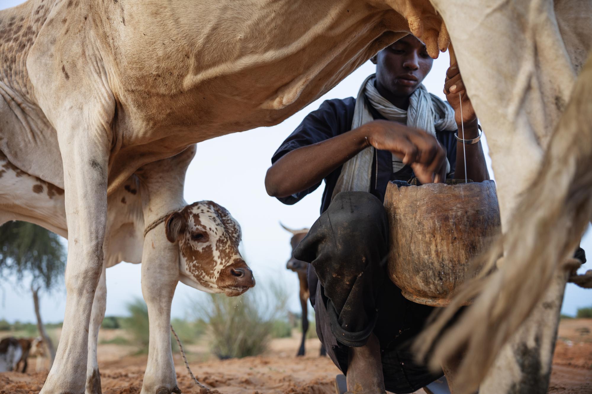 Photo Story AD CT Photo 5