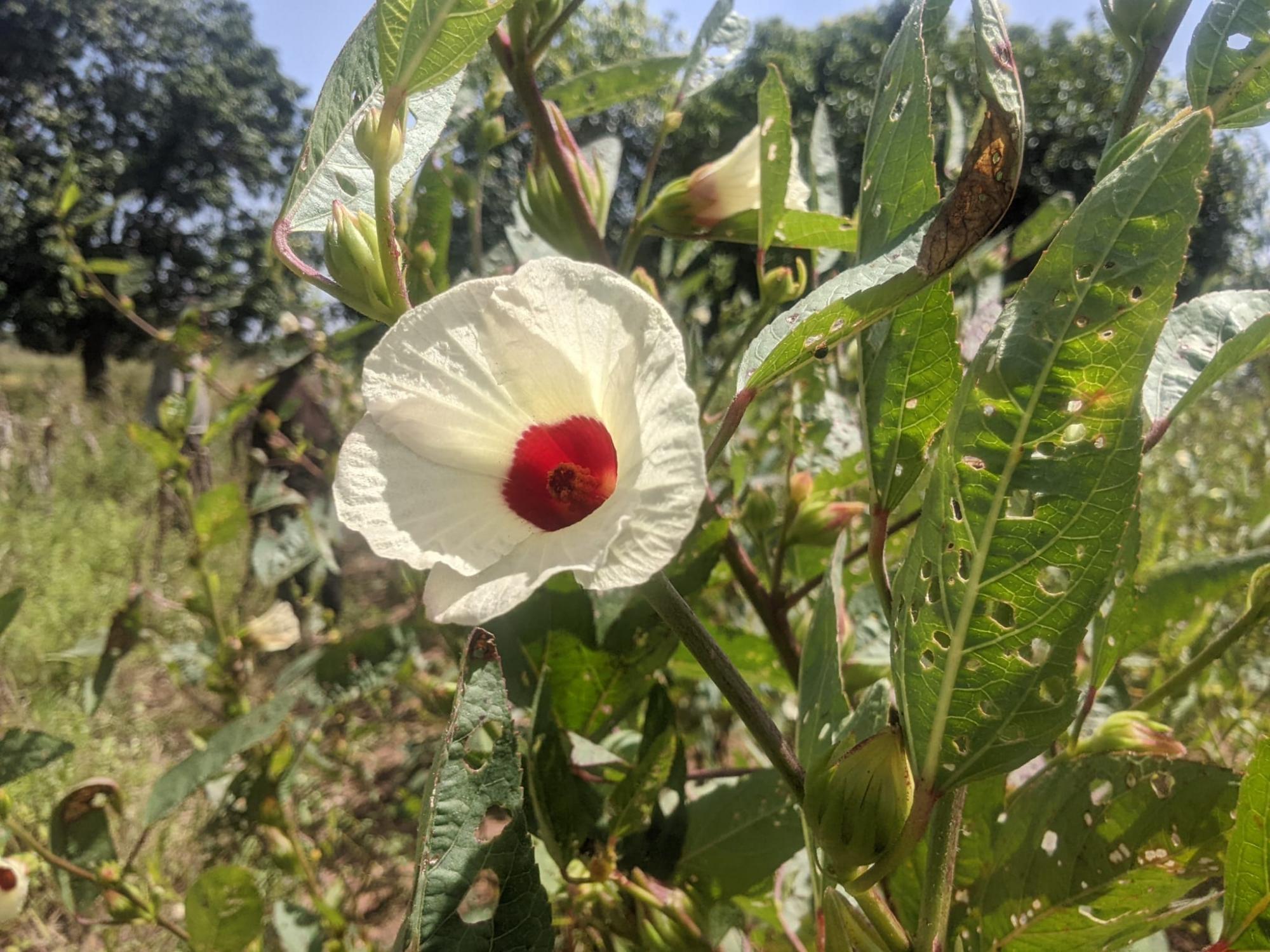 Photo Story Cecile Poitevin CT Photo 2