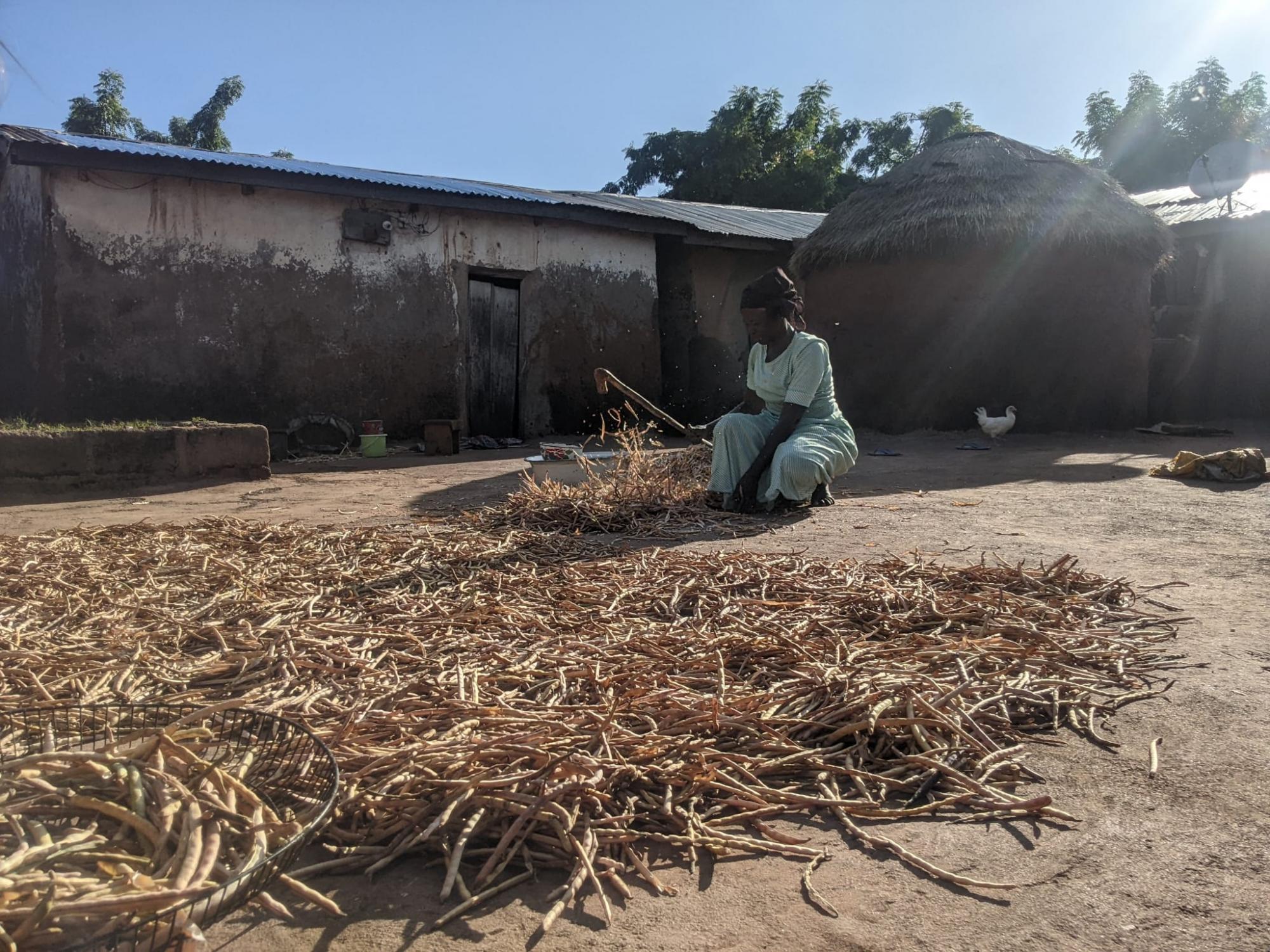 Photo Story Cecile Poitevin CT Photo 8