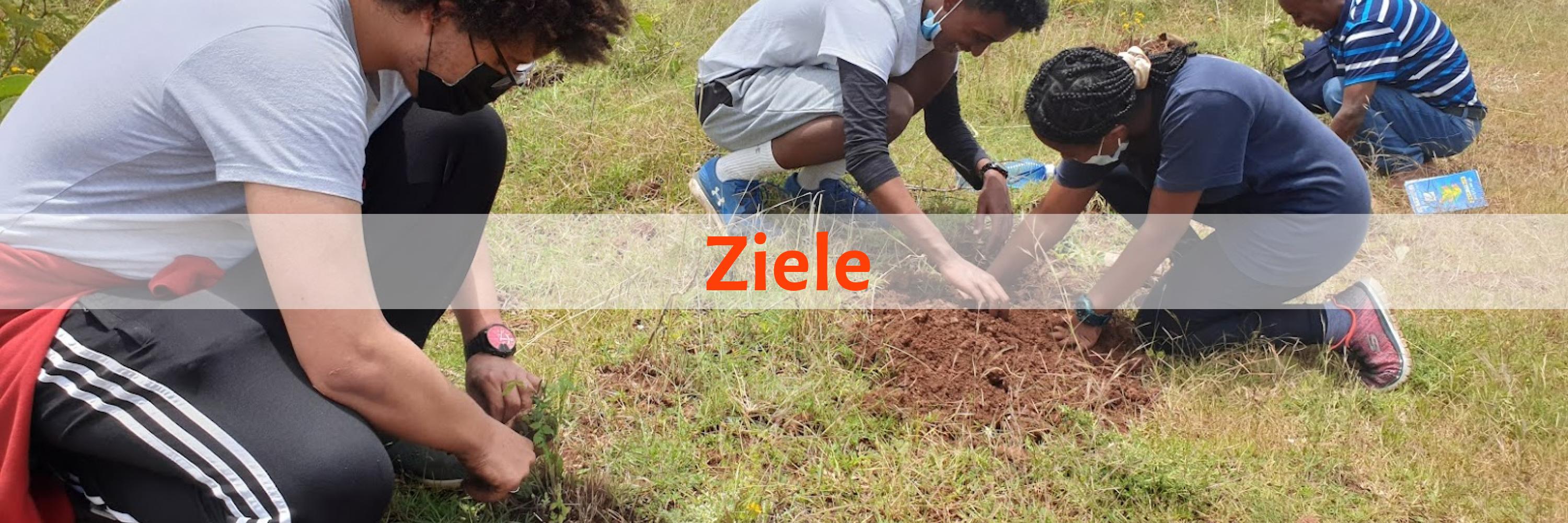 young people planting seedlings in Ethiopia.
